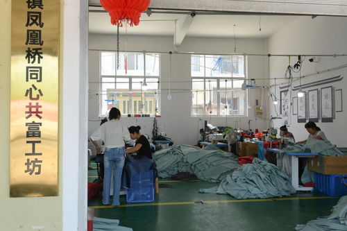 村里建起“沒有圍墻的工廠”——浙江臨海“共富工坊”以技術服務助力農民家門口就業(yè)增收
