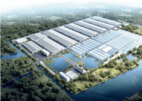 浙江千噸級(jí)南美白對(duì)蝦工廠化養(yǎng)殖場(chǎng) 融合兩大全球先進(jìn)技術(shù)，引領(lǐng)產(chǎn)業(yè)新篇章